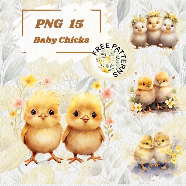 Cute Baby Chick Clipart, Watercolor PNG, Spring Animal Design Illustration Nursery Calendar, Commercial Use Digital Download Cute chicks 990