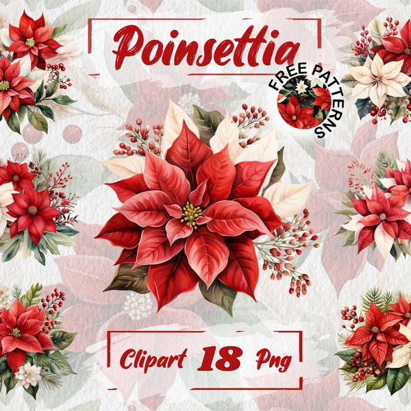 Christmas Flower Clipart, Watercolor Poinsettia PNG, Poinsettia Clipart, Floral Decor, Free Commercial Use, Card Making 528