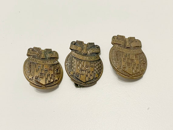 Vintage Assorted Metal Pins - image 4