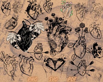 May include: A collection of 16 black and white anatomical heart illustrations with various floral and insect elements. The hearts are stylized and detailed, with some featuring intricate veins and arteries. The illustrations are set against a beige background.