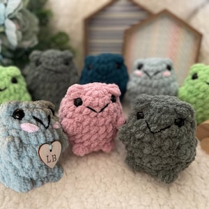 PERSONALIZED CUSTOM Crochet Frog Plush Cool Gift Idea Handmade Special Desktop Shelf Decor Frog lovers Cottagecore decoration Soft Tiny Frog