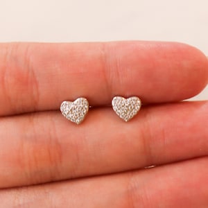 Titanium Zircon Heart Screw Back Stud Earrings, Non Tarnish Earrings, Implant Grade Titanium Waterproof Earrings, Minimal Earrings