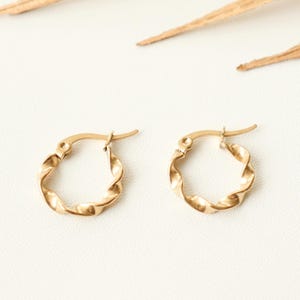 Titanium Twisted Hoop Earrings, Non Tarnish Earrings, Implant Grade Titanium Waterproof Earrings, Vintage Earrings, Minimal