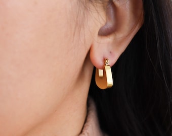 HAQI Orecchini A Cerchio In Titanio Puro Per Donna, Anallergici, Colore Argento, Diametro 40 Mm, Titanio Medico