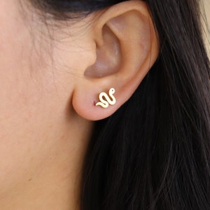 Titanium Snake Stud Earrings, Non Tarnish, Butterfly push back, Hypoallergenic, Implant Grade Waterproof Earrings, Minimalist, Fruit