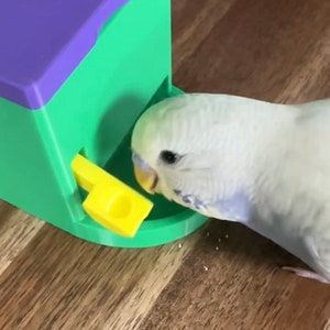 Bird Treat Box for Parakeets and Other Small Birds