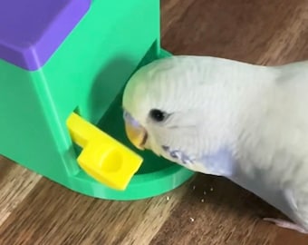 Bird Treat Box for Parakeets and Other Small Birds