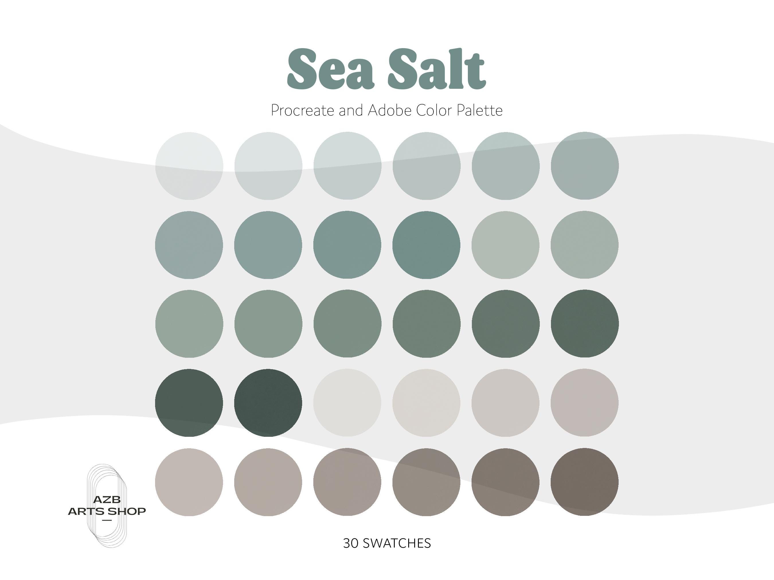 Coastal Beach Procreate Adobe Color Palette Bundle, Color Swatches ...
