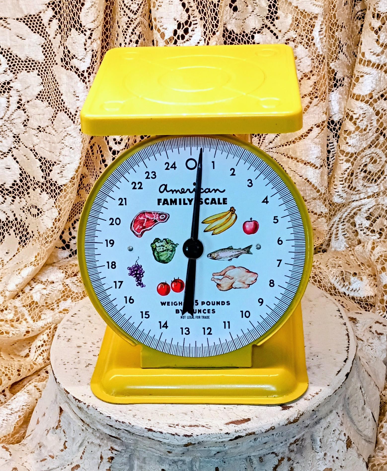American Family Scale イエロー American Family Scale - Etsy