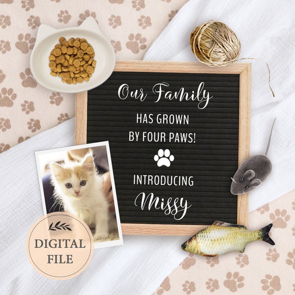 New family member announcement, New Kitten digital announcement for social media, New pet, Editable template