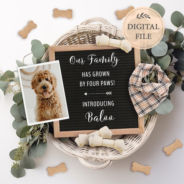 Dog announcement, Puppy announcement digital file for social media, New family member announcement,  Editable template