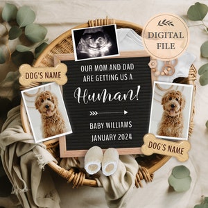 Digital pregnancy announcement 2 dogs for social media, Dog baby announcement, Facebook pregnancy announce, Editable template