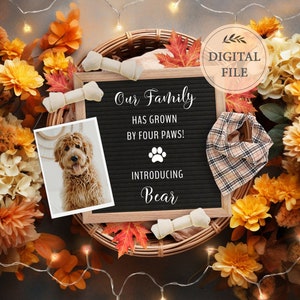 Puppy announcement Fall for social media, New family member announcement digital, dog announcement, Editable template