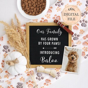 Anuncio de nuevo miembro de la familia digital, anuncio de cachorro de otoño para redes sociales, anuncio de perro calabaza, plantilla editable