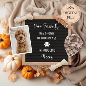 Fall Puppy Announcement: Social Media Template (Digital)