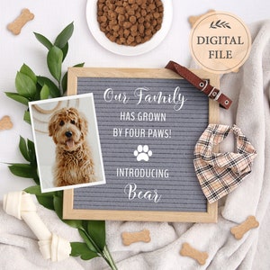 Anuncio de cachorro digital para redes sociales, Anuncio de nuevo miembro de la familia, Anuncio de perro, Plantilla editable