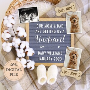 Digitale Schwangerschaftsanzeige Hund für Social Media Post, 2 Hunde Baby Ankündigung, Facebook Schwangerschaft Ankündigung, Editierbare Vorlage