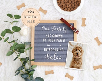 Annonce de naissance de chiot : Modèle pour les réseaux sociaux (fichier numérique)