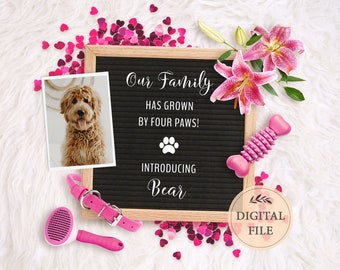 Annonce de naissance d'un chiot : Modèle modifiable pour les réseaux sociaux (Téléchargement numérique)