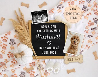Dog Pregnancy Announcement: Fall Social Media Post (Digital Download)