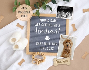 Dog Pregnancy Announcement: Editable Social Media (Digital Download)