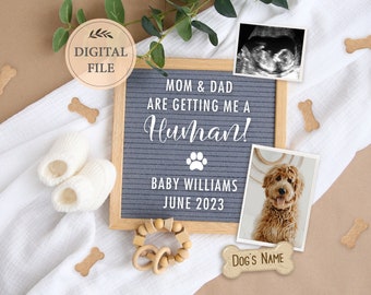 Editable Dog baby announcement digital, pregnancy announcement for social media, Pet gender neutral Facebook pregnancy announce, June 2023