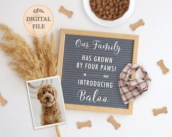 May include: A letter board with the text "Our Family Has Grown By Four Paws! Introducing Baloo" and a photo of a brown and white dog. There is a pink and black plaid bandana, a bowl of dog food, and several wooden dog bones scattered around the board.