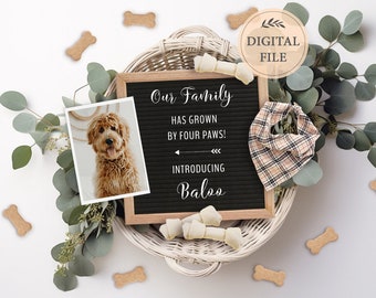 Dog announcement, Puppy announcement digital file for social media, New family member announcement,  Editable template