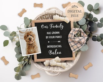 Dog announcement, Puppy announcement digital file for social media, New family member announcement,  Editable template