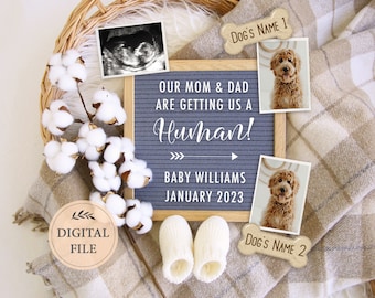 Two Dogs Pregnancy Announcement for Social Media (Digital Download)