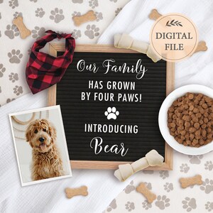 Dog announcement for social media, New puppy announcement digital, New family member announcement, Editable template