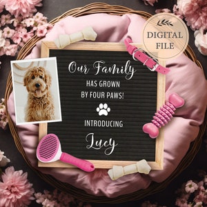 Digitale puppy-aankondiging, nieuwe gezinslidaankondiging, hondenaankondiging voor sociale media, bewerkbare sjabloon