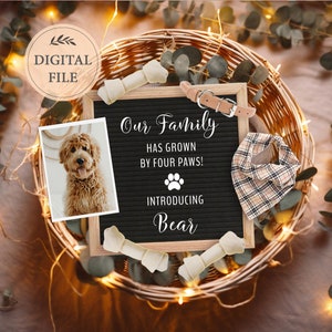 Puppy announcement digital for social media, New family member announcement, Dog announcement, Editable template