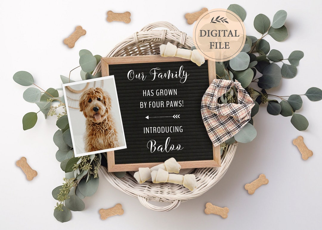 Puppy Announcement: Editable Social Media Template (digital File