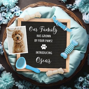 Anuncio de perro para redes sociales, Anuncio digital de cachorro, Anuncio de nuevo miembro de la familia, Plantilla editable