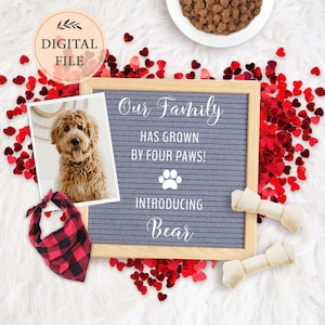 Valentine dog announcement for social media, New puppy announcement digital Valentines day, New family member announcement Editable template