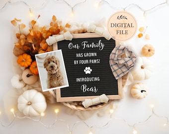 Fall Puppy Announcement: Social Media Pet Photo (Digital Template)