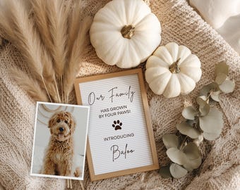 Annonce d'arrivée de chiots pour l'automne : fichier numérique pour les réseaux sociaux (modèle Canva modifiable, téléchargement numérique)