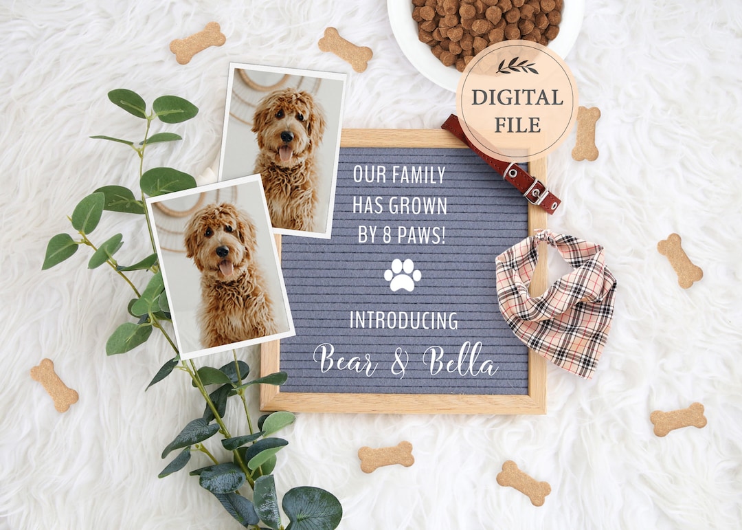 Welcome New Puppy Old English Congratulations On Your Fur Baby