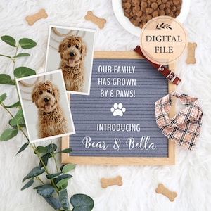 Anuncio de nuevo miembro de la familia para redes sociales, anuncio de cachorro digital, anuncio de perro, plantilla editable