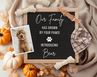 Fall Puppy Announcement: Social Media Template (Digital)