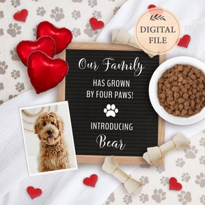 Valentines Day new puppy announcement digital, Dog announcement for social media, New family member announcement, Editable template