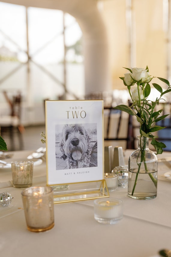 Modern Table Number Editable Photo Template | 5x7 Table Number Template | Dog Table Number Template