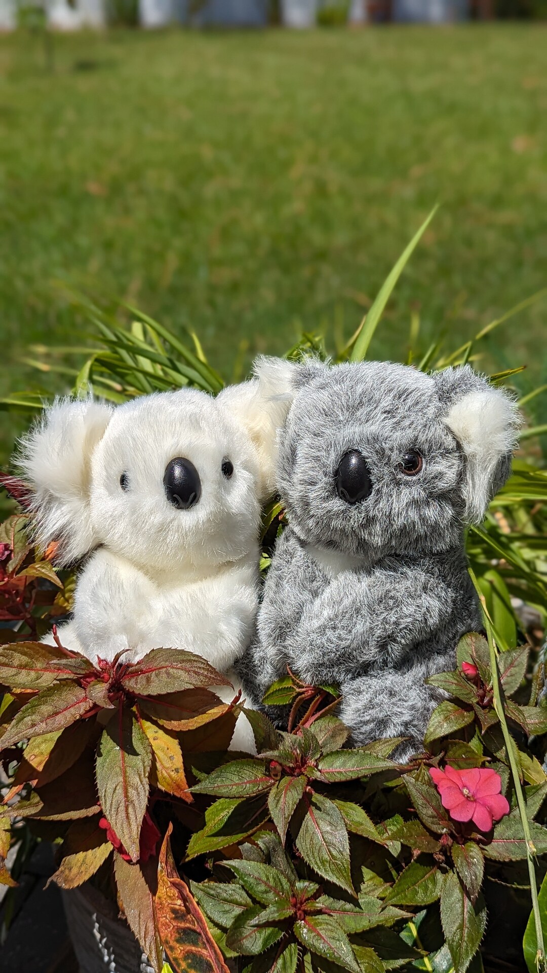 Koala Hybrid Crochet Golf Club Cover Etsy