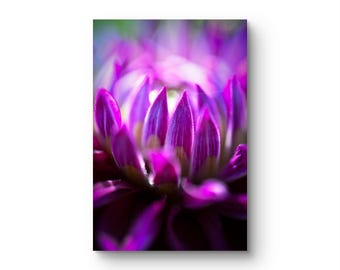 Digital nedladdning - Dröm i lila blomma foto