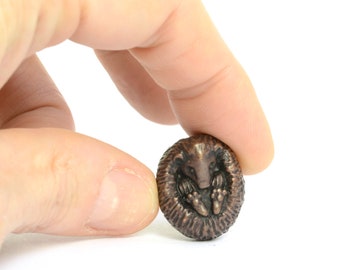 Miniature Bronze Hedgehog Sculpture: Collectible Bonsai Wildlife Figurine