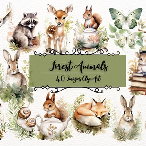 Paquete de imágenes prediseñadas de animales del bosque/40 PNG acuarela animal del bosque / imágenes prediseñadas de vivero, png de zorro, imágenes prediseñadas de alce lindo, imágenes prediseñadas de ardilla / búho png