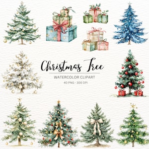40 aquarel kerstbomen clipart | Geschilderde boomclipart | Kerstillustraties | PNG-afbeeldingen | Directe download voor commercieel gebruik