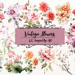Vintage Flowers Clipart |4o PNG Botanical Illustrations|Design elements|Instant download|Vintage Floral Illustration |Peonies Roses Lilies
