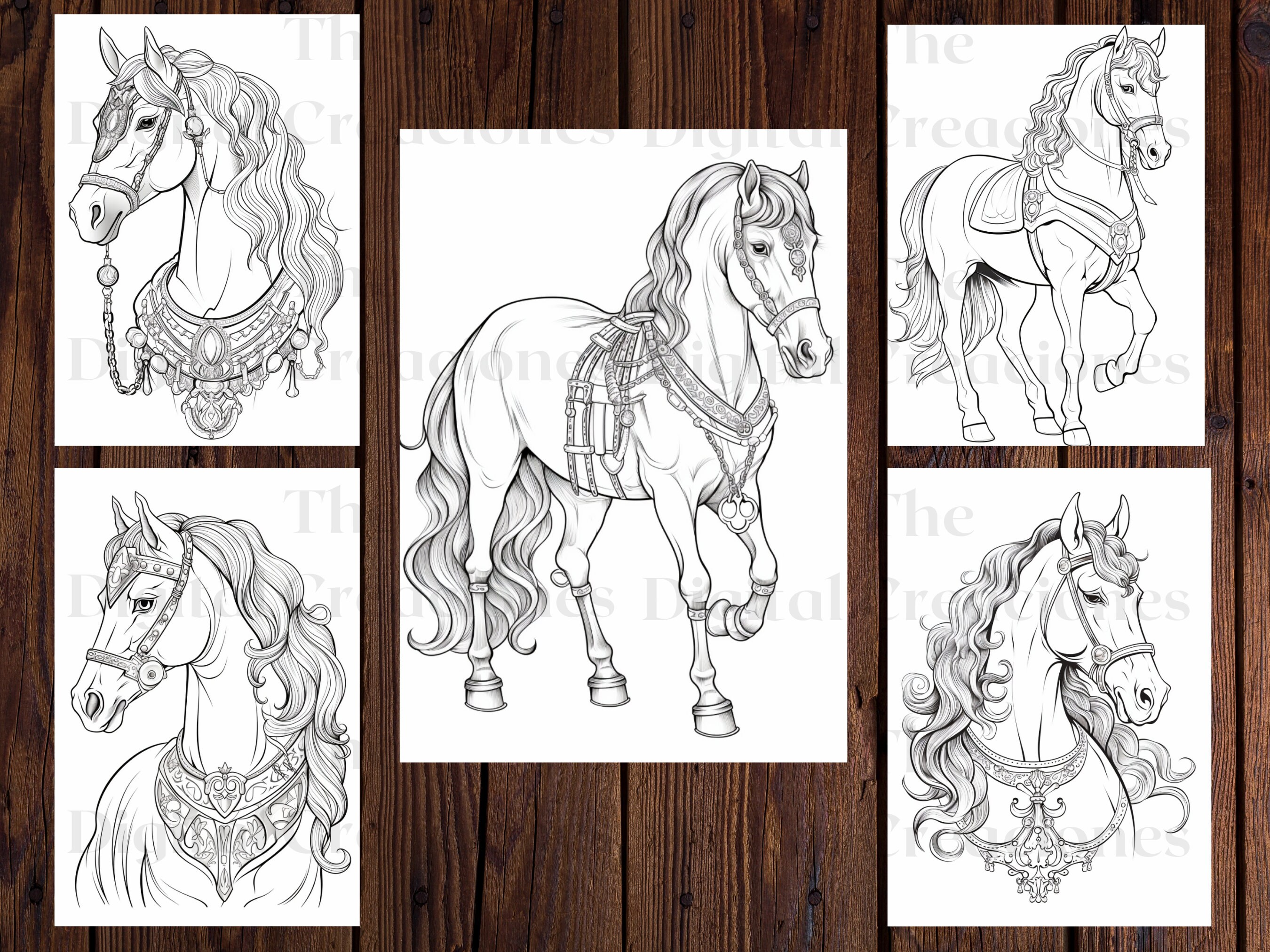 Royal Horses Coloring Book | 25 Unique Printable Pages (PDF) - Etsy